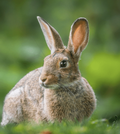 Screen Shot 2019-07-06 at 5.57.59 PM